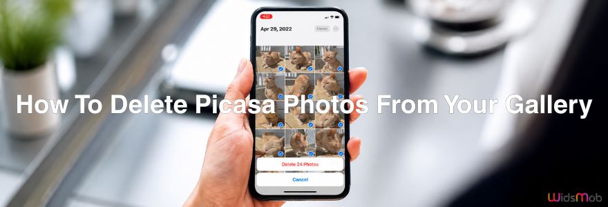 Delete Picasa Photos