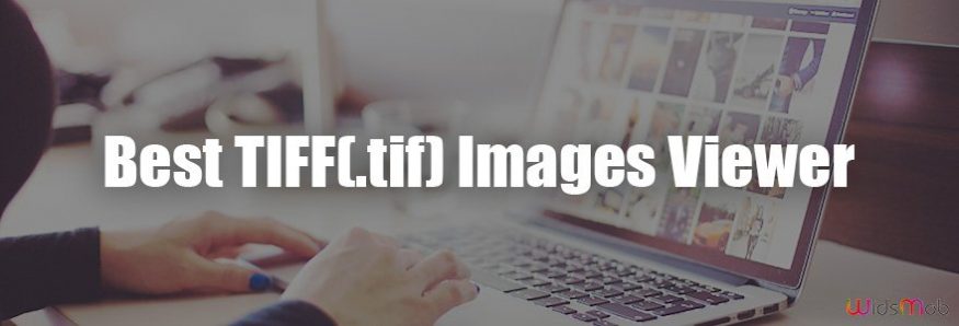 Best Tiff Viewer Tools