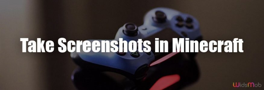 Take Screenshots in Minecraft