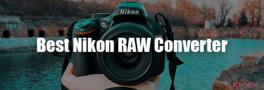Best Nikon RAW Converter