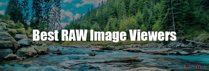 Best RAW Image Viewers