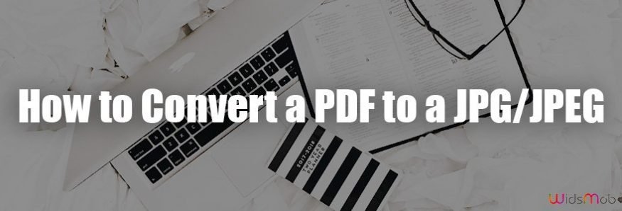 How to Convert a PDF to a JPG