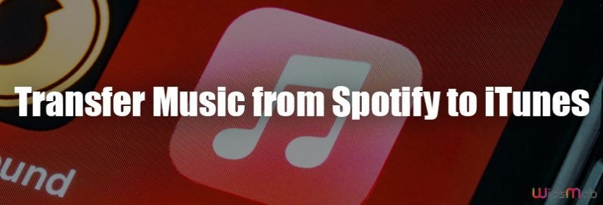 Transfer Music from Spotify to iTunes