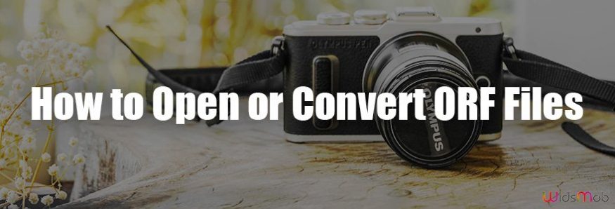 How to Open or Convert ORF Files