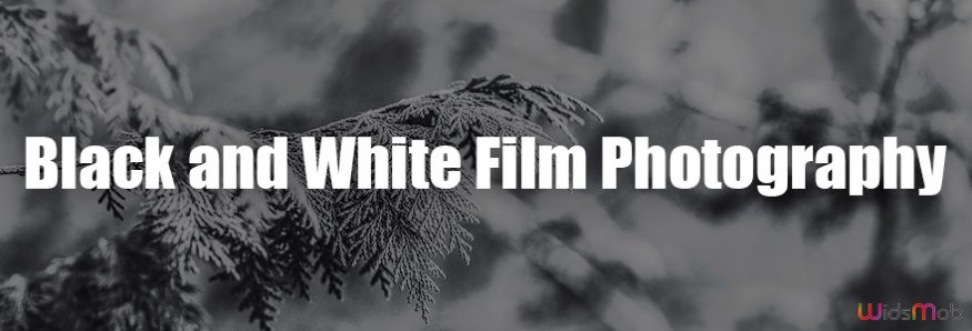 Black and White Film Photography