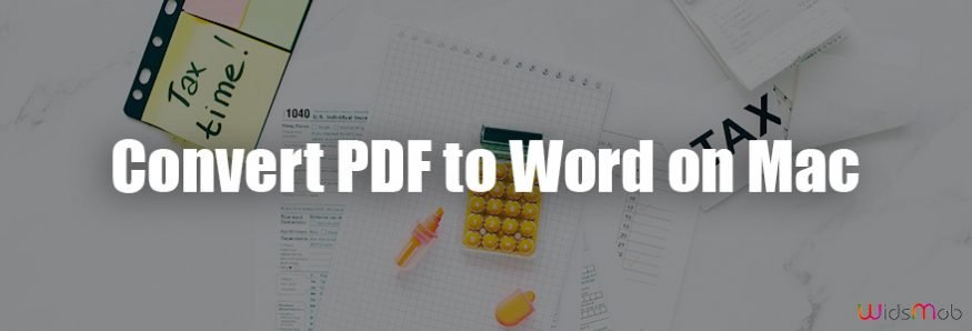Convert PDF to Word on Mac