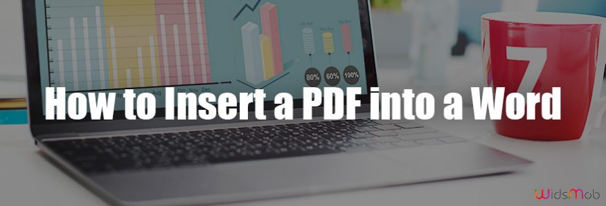 How to Insert a PDF into a Word