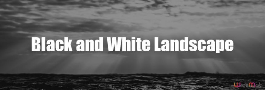 Black and White Landscape