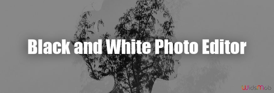 Black and White Photo Editor