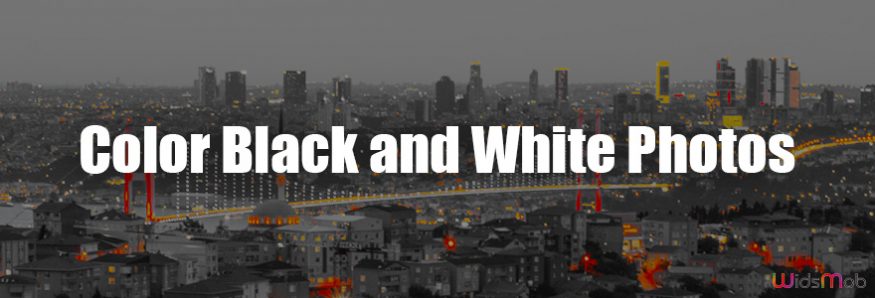 Color Black and White Photos