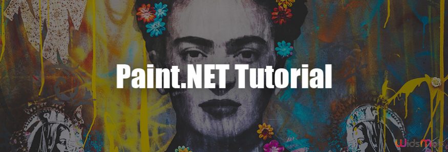 Paint Net Tutorial
