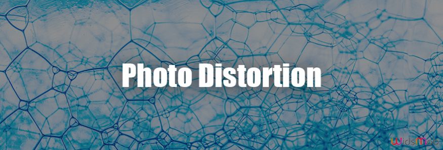 Photo Distortion