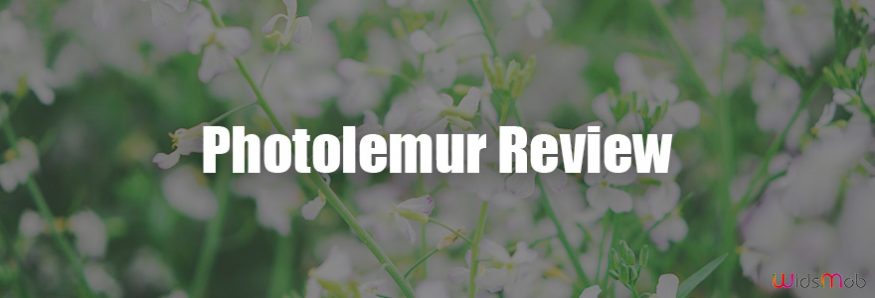 Photolemur Review