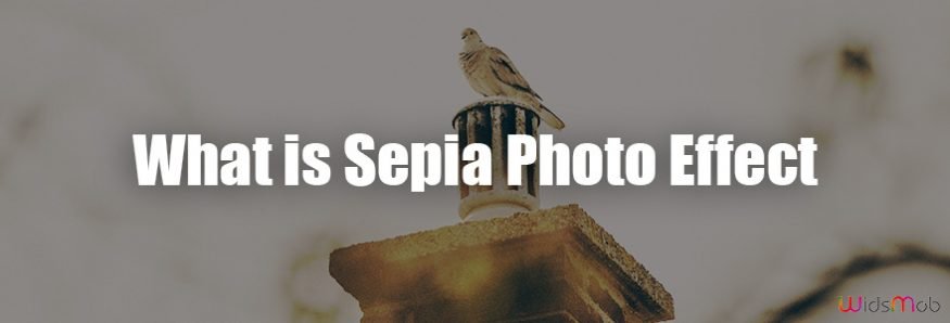 What is Sepia Photo Effect