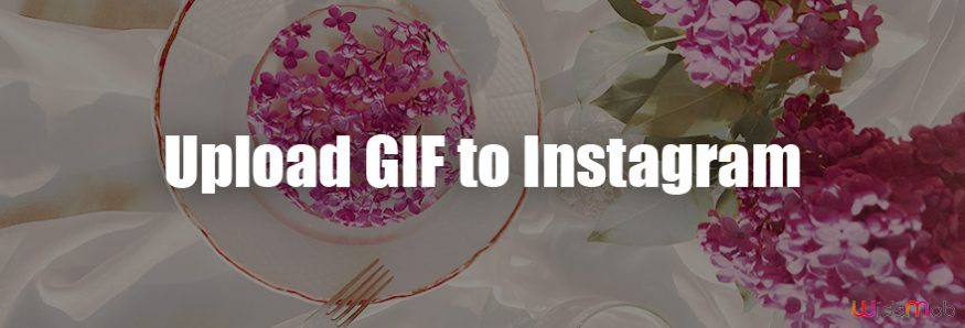 Upload GIF to Instagram