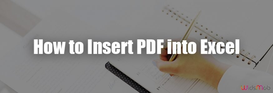 Insert PDF into Excel