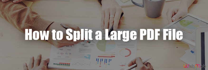 Split a Large PDF File