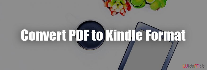 Convert PDF to Kindle Format