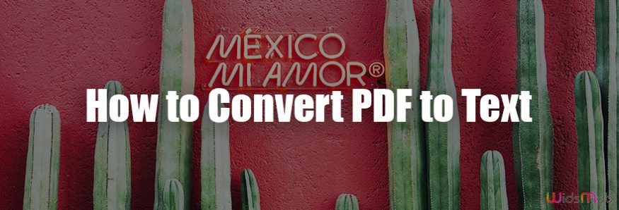 Convert PDF to Text