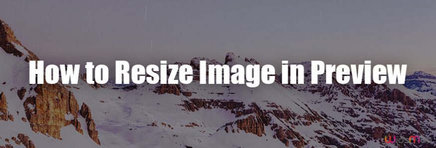 How to Resize the Image in Preview