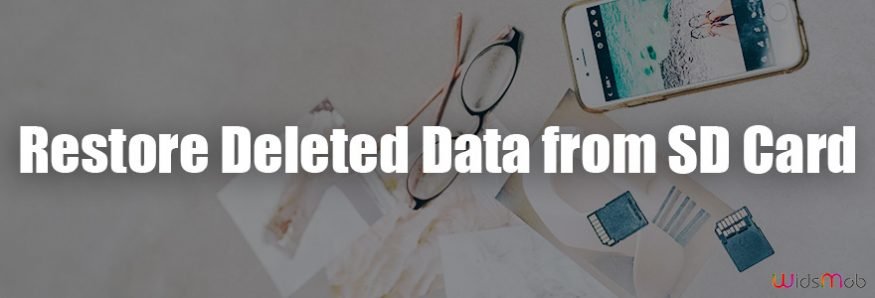 Restore Deleted Data from SD Memory Card