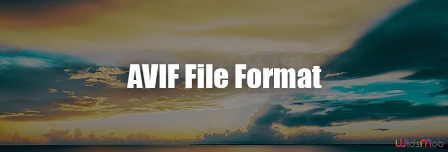 AVIF file format