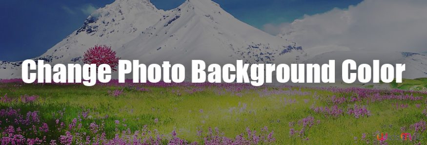 Change Background Color of Photos
