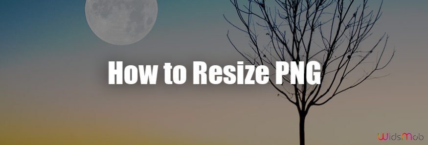 Resize a PNG