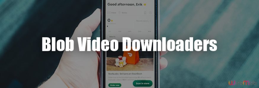 Blob Video Downloaders