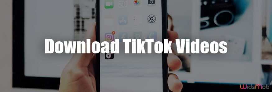 Download TikTok Videos