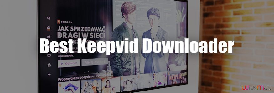 Keepvid Downloader