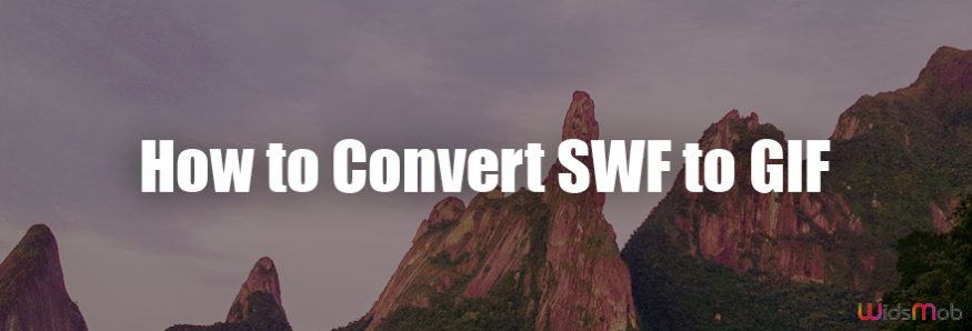 Convert SWF to GIF