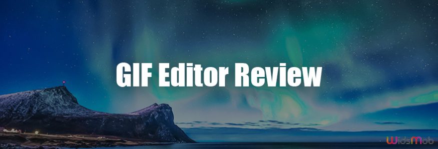 GIF Editor Review