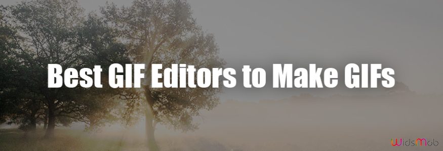 Best Animated GIF Editors to Make GIFs