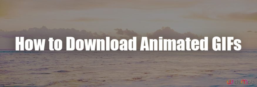Download Animated GIFs