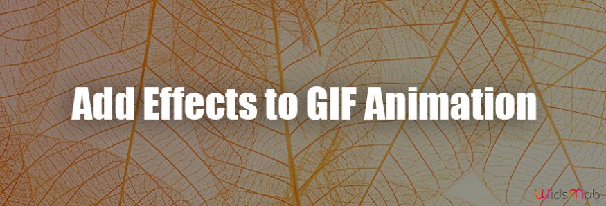 Add Effects to GIF Animation