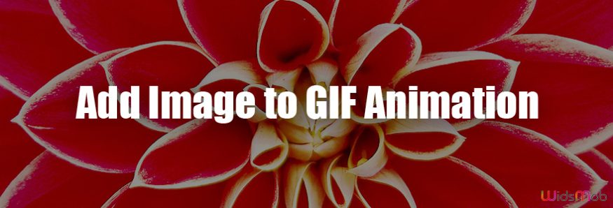 Add Image to a GIF Animation
