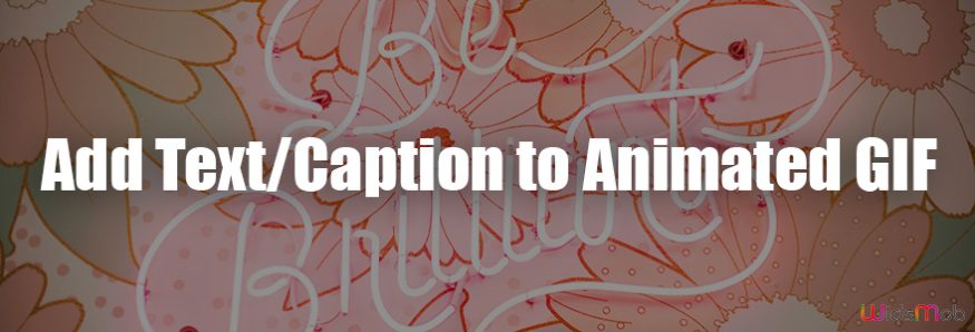 Add Text/Caption to Animated GIF