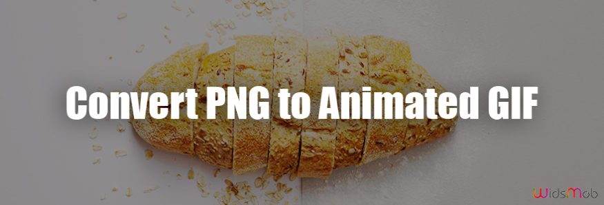 Convert PNG to Animated GIF