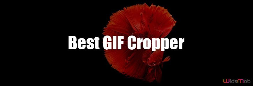 GIF Cropper
