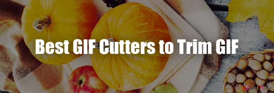 GIF Cutter