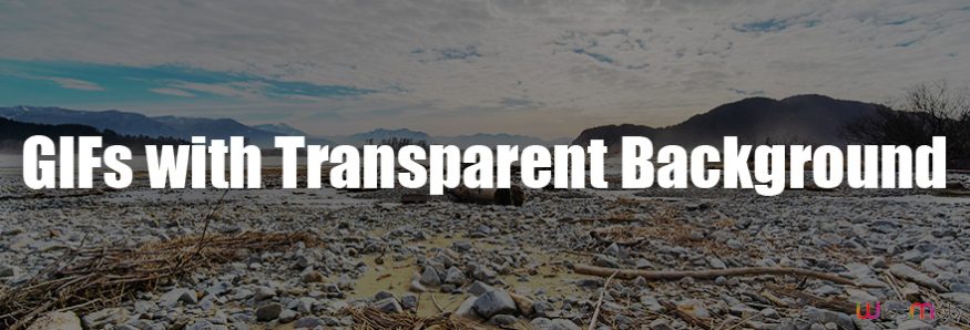 Make Animated GIFs with Transparent Background