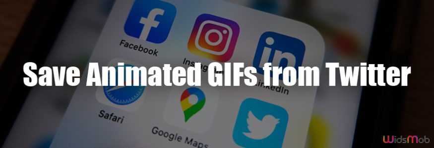 Save Animated GIFs from Twitter