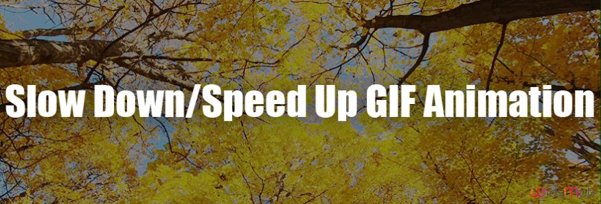 Slow Down/Speed Up GIF Animation