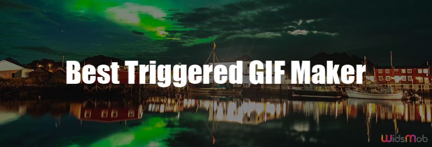 Triggered GIF Maker