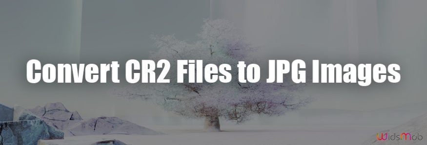Convert CR2 Files to JPG Images