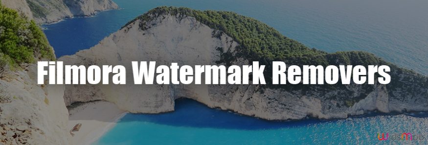 Filmora Watermark Removers