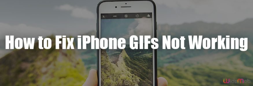 How to Fix iPhone GIFs Not Working