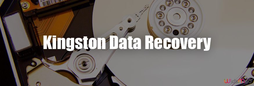 Kingston Data Recovery