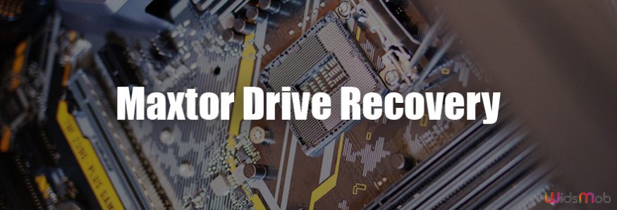 Maxtor Drive Recovery